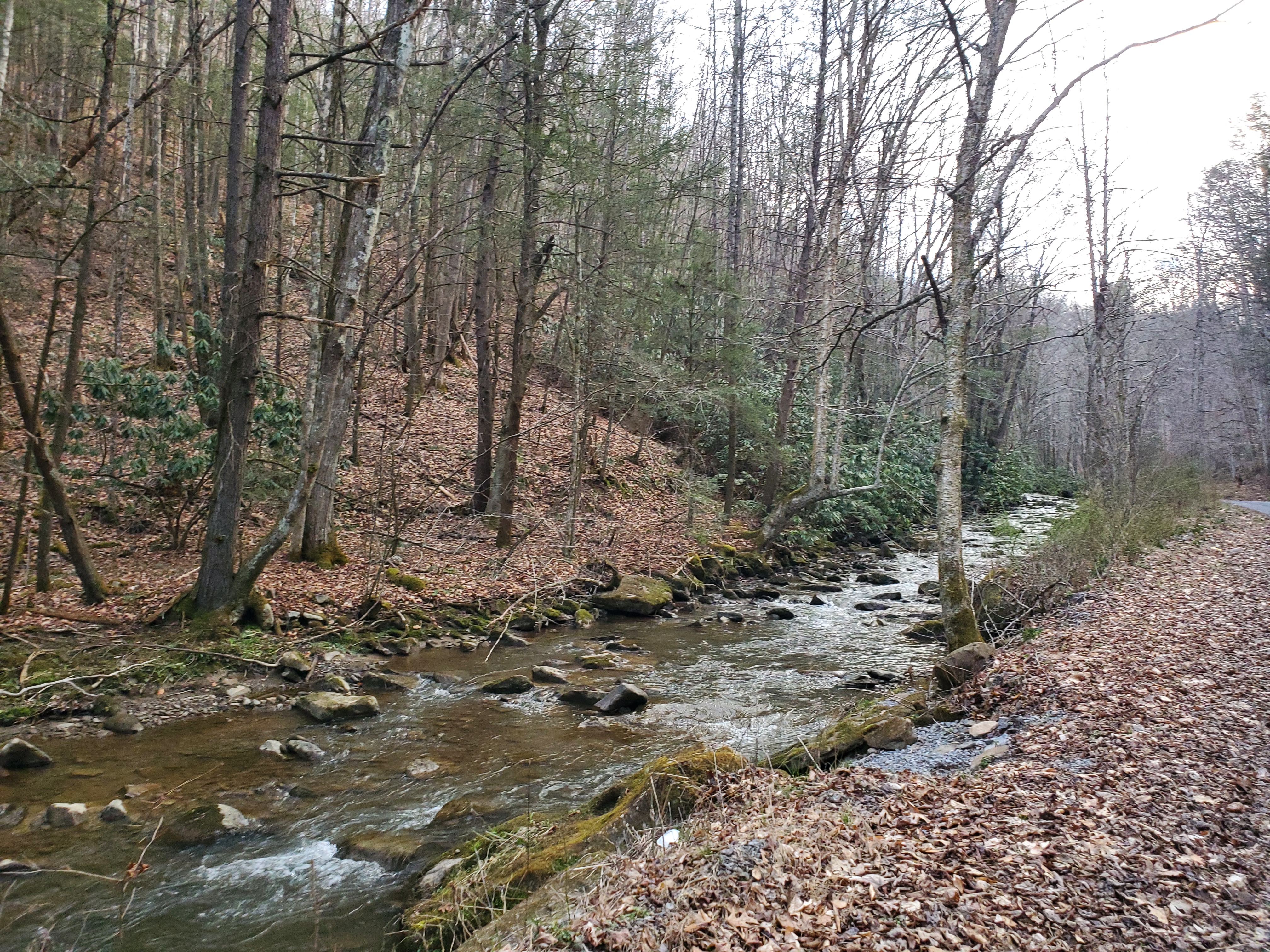 21 Acres Rich Creek